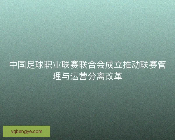 中国足球职业联赛联合会成立推动联赛管理与运营分离改革